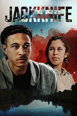 Jackknife (2024) WEBRIP Hindi (MULTI AUDIO) 720p – 480p – 1080p